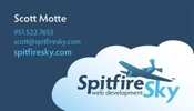 Spitfire Sky Business Cards