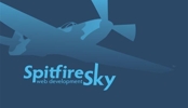 Spitfire Sky Business Cards